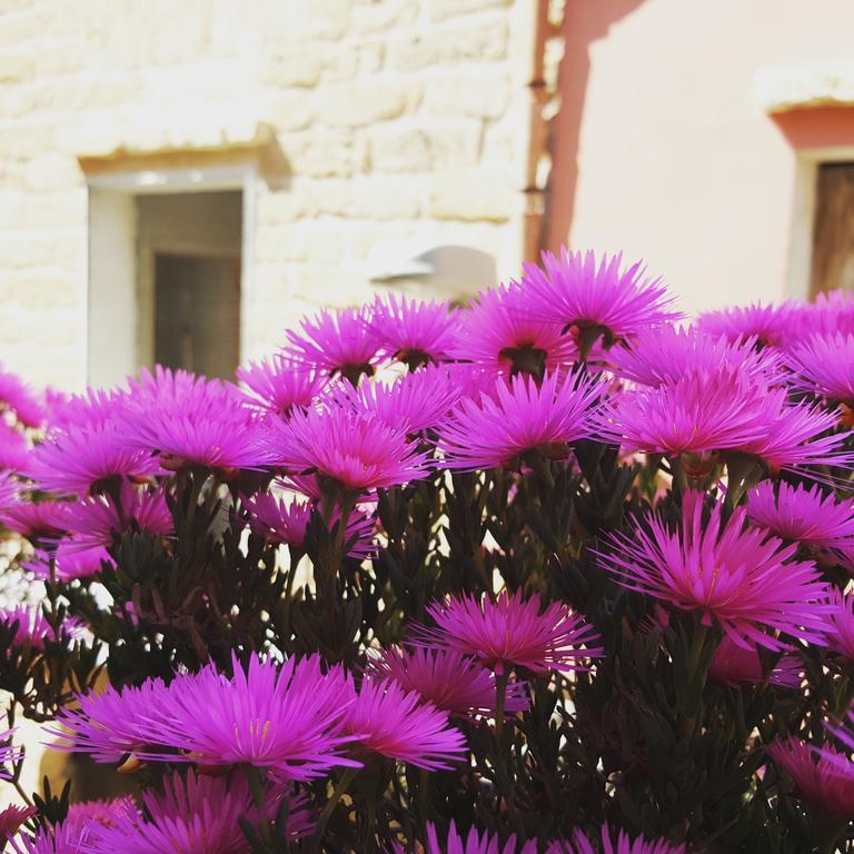 B&B Cinisi Vacanze 외부 사진
